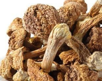 Mushroom Powder - Agaricus Blazei Murril.