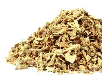 Angelica Root Tea - Angelica archangelica L.
