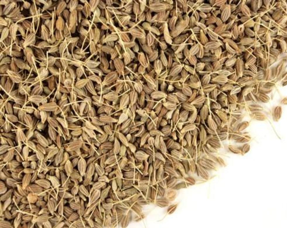 anise plant seed Anise Seed