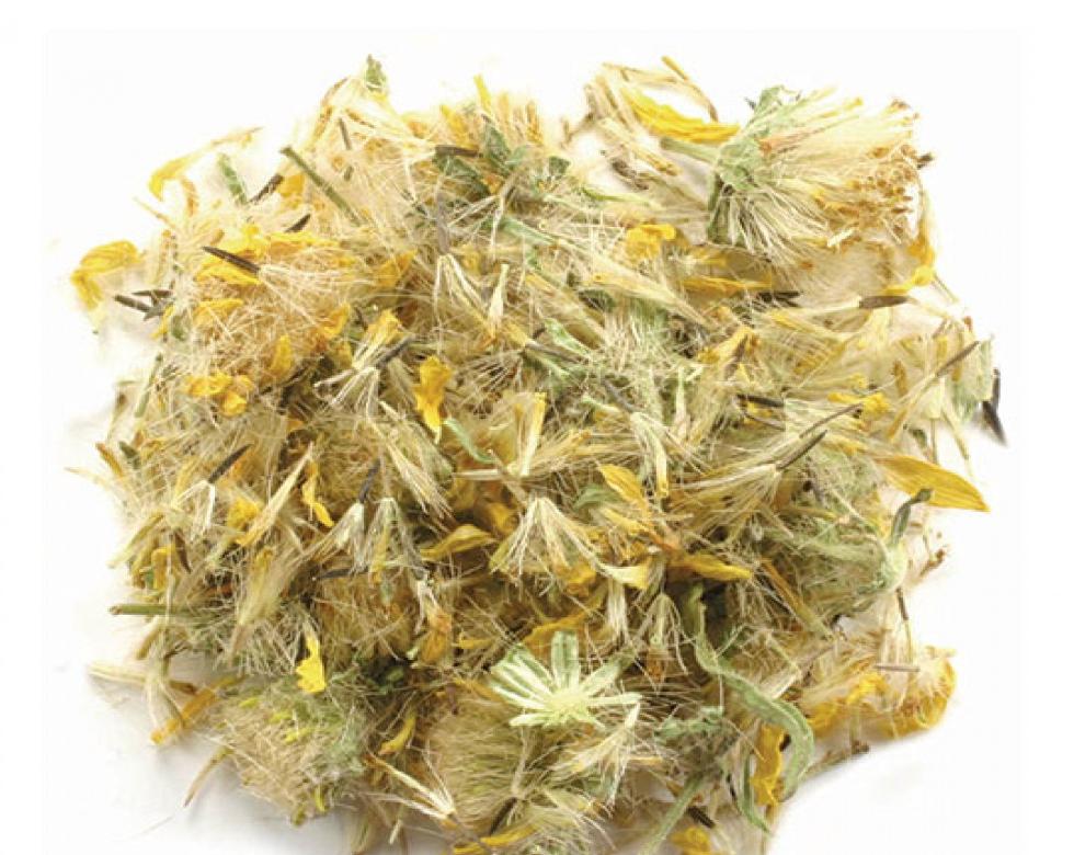 Arnica Montana Tea