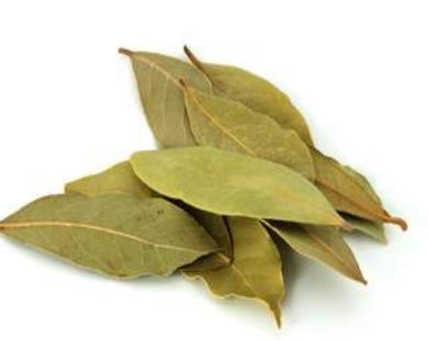 Bay Leaf (Laurel) – Laurus Nobilis