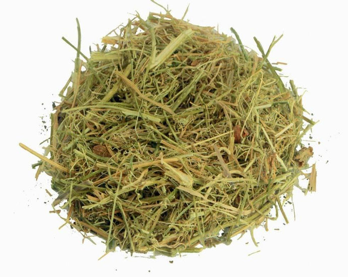 Bitter Mellon - Momordica charantia L.