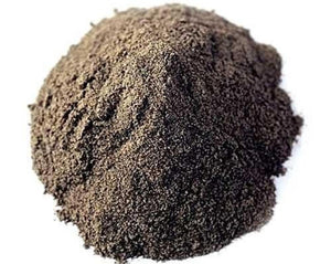 Black Pepper - Piper Nigrum L.