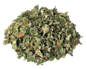 Blackberry Leaf - Morus Nigra L.