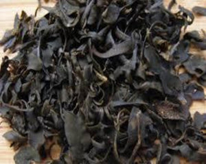 Bladderwrack - Fucus Vesiculosus L.