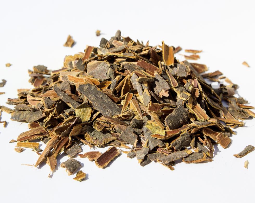 Buckthorn Tea | Living Proof LLC – Living Proof L.L.C.