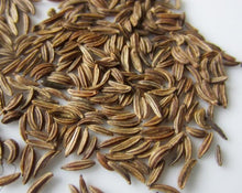 Load image into Gallery viewer, Caraway Seed - Carum carvi L.