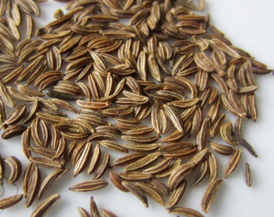 Caraway Seed - Carum carvi L.