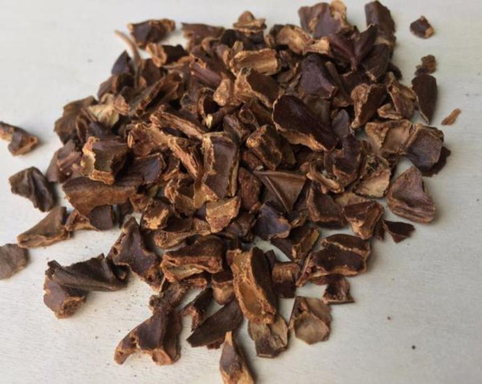 Carob Tea - Ceratoniasiliqua L.