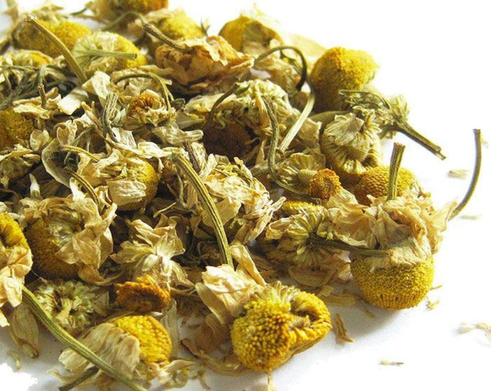 Chamomile Tea - Matricaria chamomilla L.