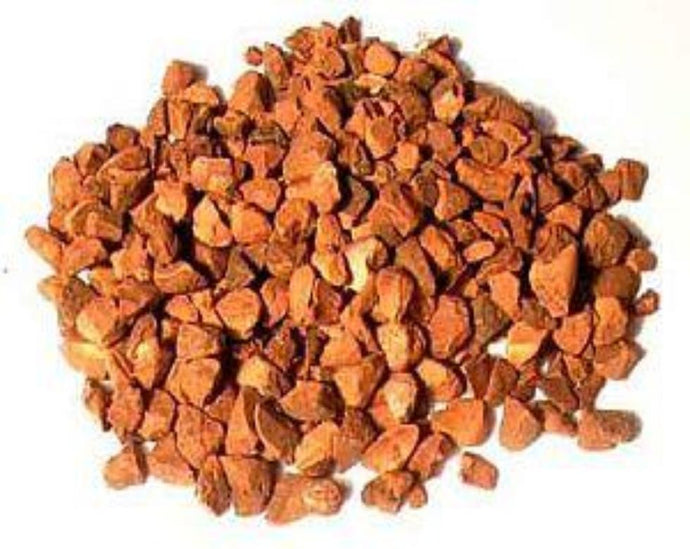 Cola Nut - Cola nitida Ventenat