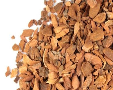 Cotton Root - Gossypium Herbaceum L.