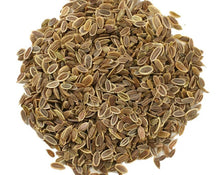 Load image into Gallery viewer, Dill Seeds - Anethum graveolens L.