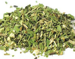Echinacea Leaf - Echinacea Purpurea M.