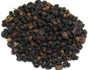 Elderberries - Sambucus nigra L.