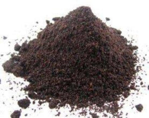 Elderberries - Sambucus nigra L.
