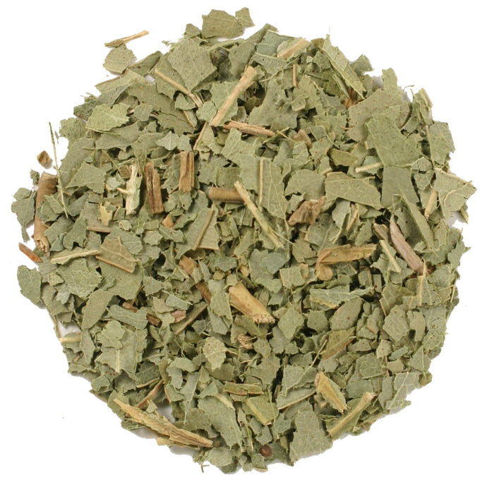 Eucalyptus Leaf - Eucalyptus Globulus Labill