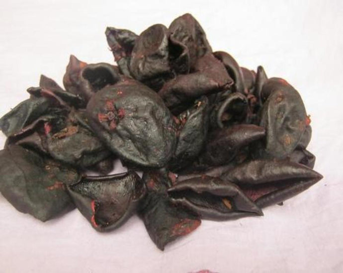 Garcinia Fruit (Kokum) - Garcinia Indica