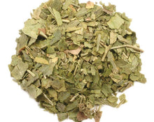 Load image into Gallery viewer, Ginkgo Leaf - Ginkgo Biloba