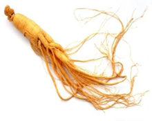 Load image into Gallery viewer, Ginseng Root - Panax ginseng CA Meyer