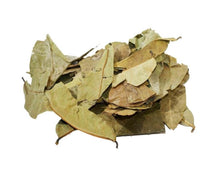 Load image into Gallery viewer, Soursop (Graviola) Leaf - Annona muricata