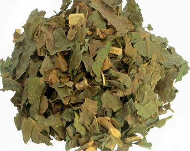 Guacatonga - Casearia Sylvestris