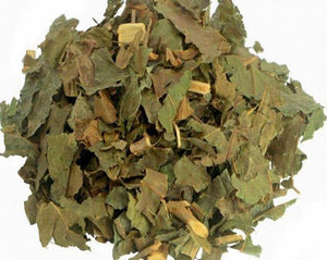 Guacatonga - Casearia Sylvestris