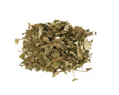 Guaco Leaf - Mikania glomerata Sprengel
