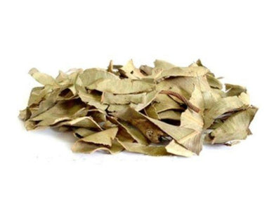Jambolan Leaf - Syzygium Jambolana