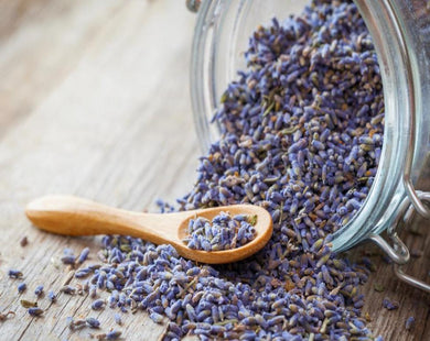 Lavender Tea - Lavandula Officinalis