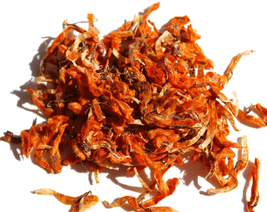 Lion's Ear (Klip Dagga) - Leonotis Nepetafolia
