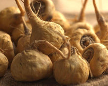 Load image into Gallery viewer, Maca Powder - Lepidium meyenii Walp