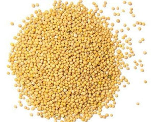 Mustard Seed - Sinapis Alba L.