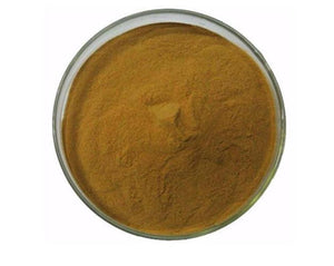 Myrcia Leaf - Myrcia sphaerocarpa