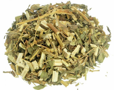 Arnica (Goldenrod) Tea - Solidago microglossa