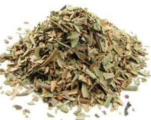 Olive Leaf - Olea europaea L.