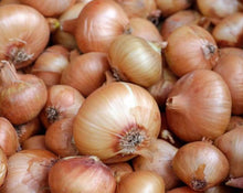 Load image into Gallery viewer, Onion Flakes - Allium Cepa