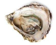 Load image into Gallery viewer, Oyster Calcium - Calcaria Carbonica