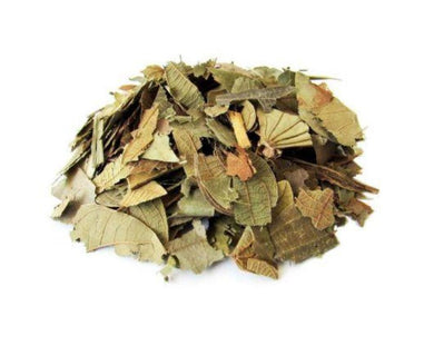 Pata de Vaca - Bauhinia spp