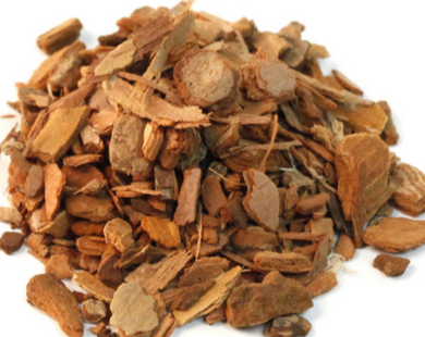 Sassafras Bark - Ocotea pretiosa Mez