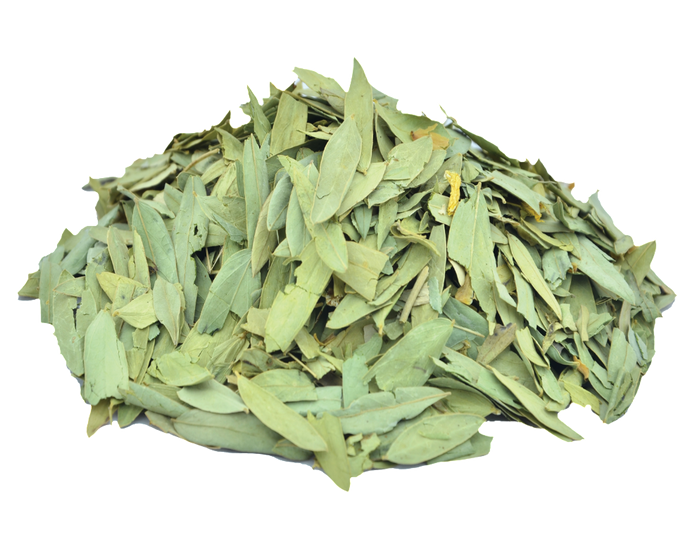Senna Tea - Cassia angustifolia Vahl