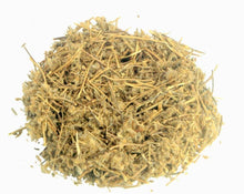 Load image into Gallery viewer, Sete Sangrias - Cuphea Ingrata C.