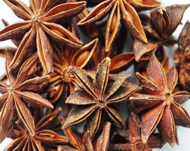 Star Anise - Illicium verum Hoocker