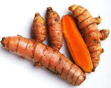 Load image into Gallery viewer, Turmeric - Curcuma longa L.