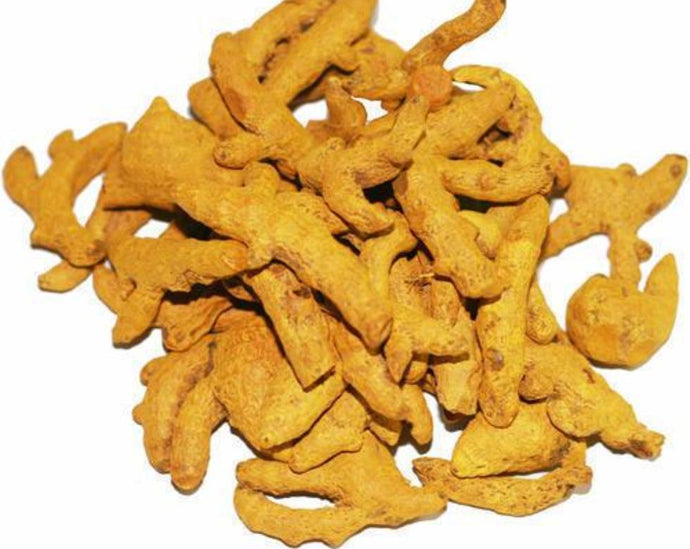 Turmeric - Curcuma longa L.