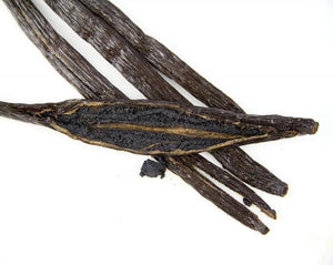Vanilla - Vanilla planifolia L.
