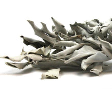 Load image into Gallery viewer, White Sage Leaf - Salvia apiana