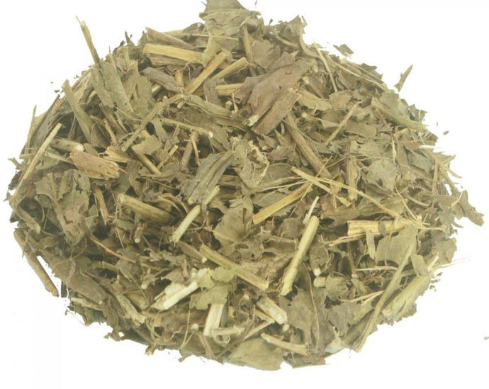Carqueja - Baccharis gaudichaudiana D. C.