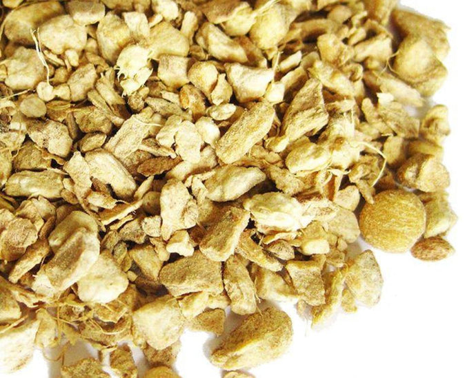 Ginger - Zingiber officinale