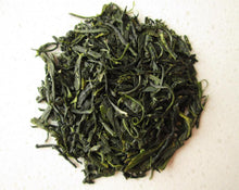 Load image into Gallery viewer, Green Tea - Camellia sinensis Kuntze